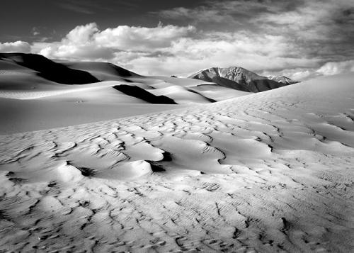 Ripples - Great Sandunes