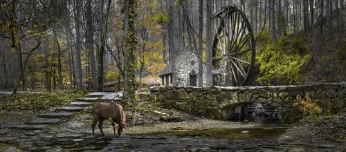 The Old Mill with Elk- Berry college